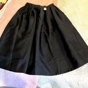 Fabulous, never worn WHBM full A-line skirt